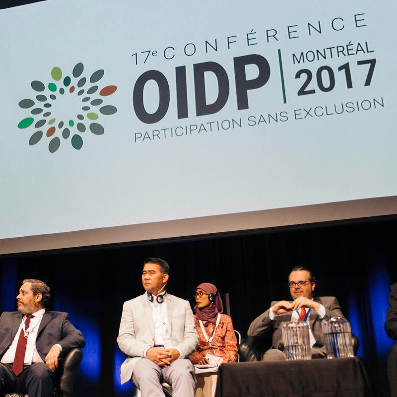 17<sup>e</sup> conférence de l'OIDP